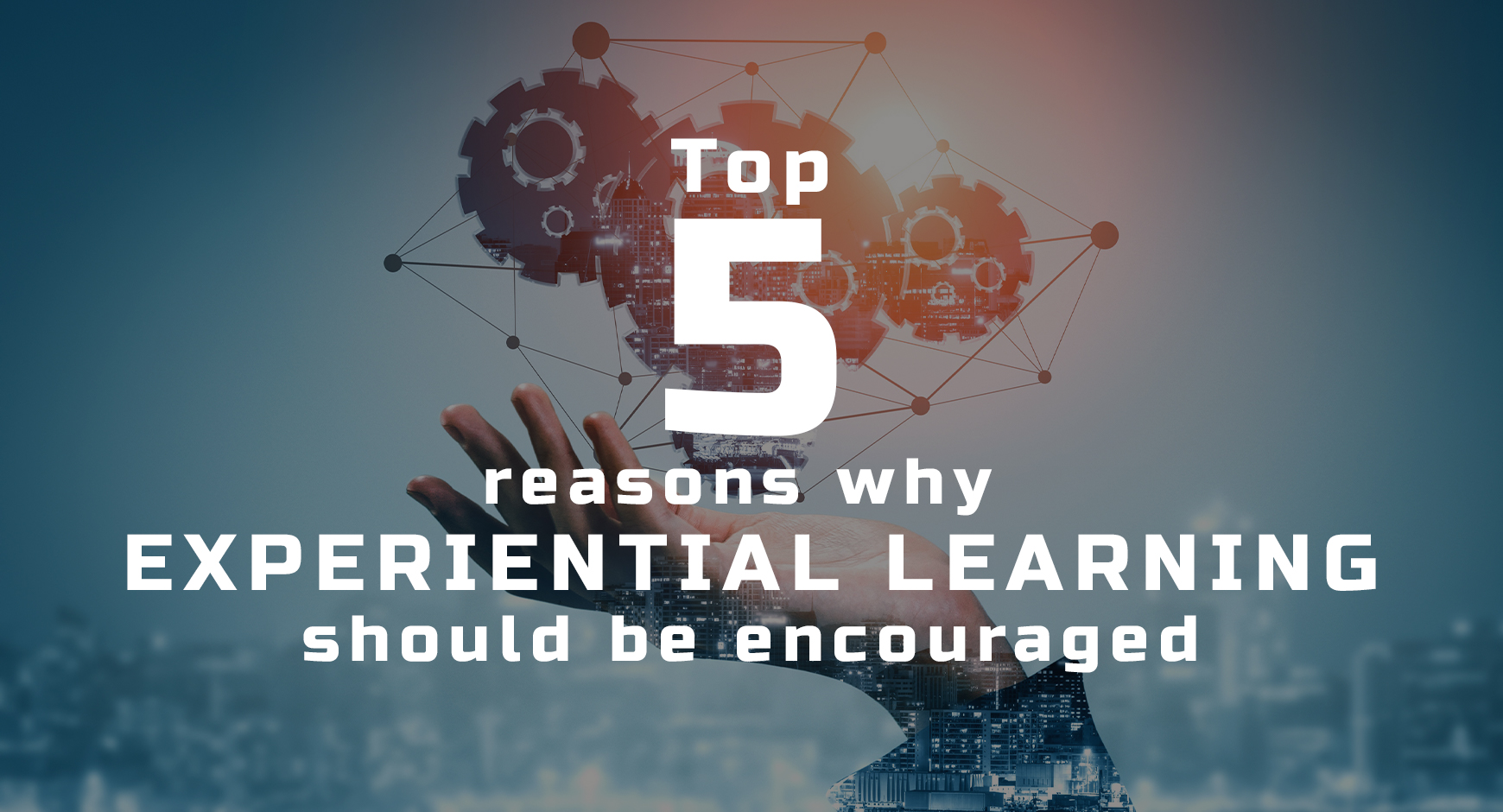 Top Five Reasons Why Experiential Learning Should be Encouraged