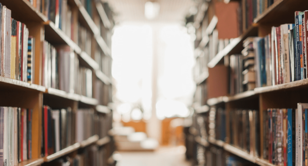 The importance of the library in a school